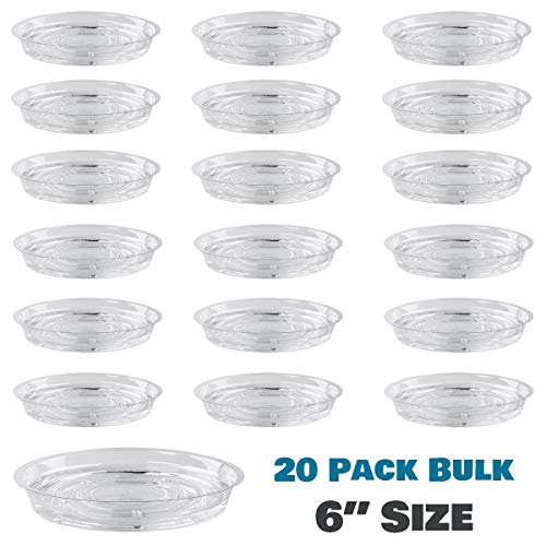 UltraOutlet 20 Pack 6 Inches Clear Plastic Plant Saucer Drip Trays Small Plant Plate Dish for Indoor Flower Pots and Planters, Bulk