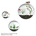 Modern Indoor Succulent Planter Metal Iron Circle Round Wall Hanging Planter (Pack of 3, White)thumb 3