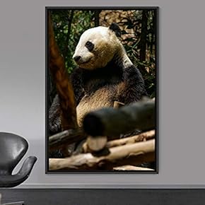 signwin Framed Canvas Wall Art Panda Animals Bear...
