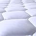 Quilted Fitted Mattress Pad | Mattress Cover Breathable, Waterproof, Hypoallergenic - Mattress Topper (Queen Size)