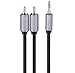 Cable Matters 3.5mm to RCA Cable (Aux to RCA Adapter Cable) in Black 6 Feet