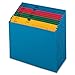 Globe Weis Globe-Weis/Pendaflex QuickVue Project File, Monthly Index, Letter Size, Blue (20135)