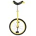 Fun 20 inch Unicycle with Alloy Rim in Multiple Colors
