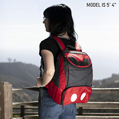 disney insulated backpack