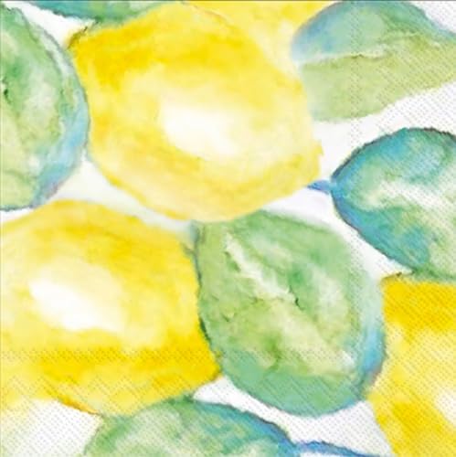 Boston International Paper Napkins Disposable 3-Ply Party Pack | Watercolor Art…