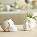 Berry President Skull Flower Pot, White Ceramic Skull Capita Planter, Succulent Plants Pots Potted for Desktop Ornaments Office Decor, paperclips Storage, Small Object Storage Containers (2 Pots)