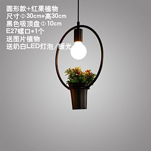 BGmdjcf Iron Art Nouveau Industrial Wind Plants Personality Chandeliers American Restaurant Light Artistic Creativity Modern Minimalist Nordic Lamps,Circular)+Red Fruit Plants200