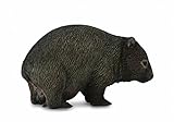 CollectA Wildlife Wombat Marsupial Toy Figure - Authentic Hand Painted Model