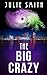 The Big Crazy: A Gripping Police Procedural Thriller (The Skip Langdon Series Book 11) by 