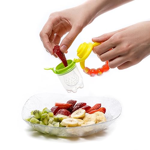 Baby Fruit Feeder Pacifier Pack Frozen Fruit Teething