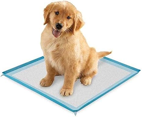 puppy pee pad