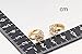 Windshow 18K Yellow Gold Plated Butterfly CZ Mini Huggie Hoop Earrings for Baby Girls Children Kids 0.48