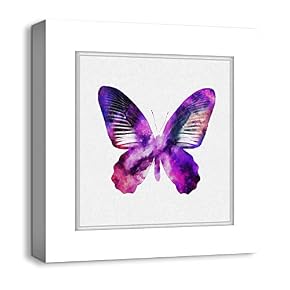 Colorful Butterflies Photo Frame Style Painting Artwork for Home Framed