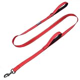 Max and Neo Double Handle Traffic Dog Leash Reflective - We Donate a Leash to a Dog Rescue for Every Leash Sold (RED, 6 FT)