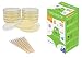 EZ BioResearch Bacteria Science Kit (IV) (Gift Pack): Prepoured LB-Agar Plates And Cotton Swabs. Exclusive Free Science Fair Project E-Book Packed With Award Winning Experiments. (IV Gift Pack)