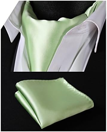 SetSense Men's Solid Jacquard Woven Self Cravat Tie Ascot Set One Size Light Green