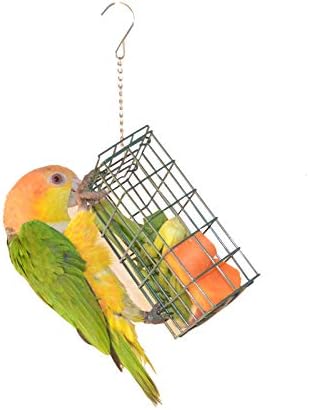 Amazon Com Qbleev Bird Foraging Interactive Feeders Outdoor
