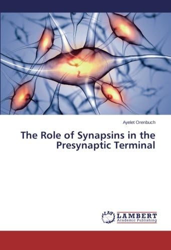 The Role of Synapsins in the Presynaptic Terminal