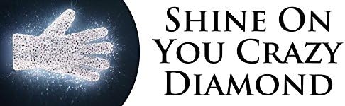 BuildASign Shine On Crazy Diamond Michael Jackson Bumper Magnets