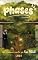 Livro PHASES: Livro 1 (Fases do amor)