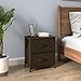 WLIVE Nightstand, 2 Drawer Dresser for Bedroom, Small Dresser with 2 Drawers, Bedside Furniture, Night Stand, End Table with Fabric Bins for Bedroom, College Dorm, Brown