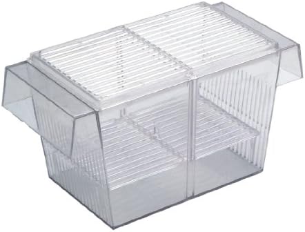 Aquarium Fish Breeding/fry Hatchery tank betta trap FH101