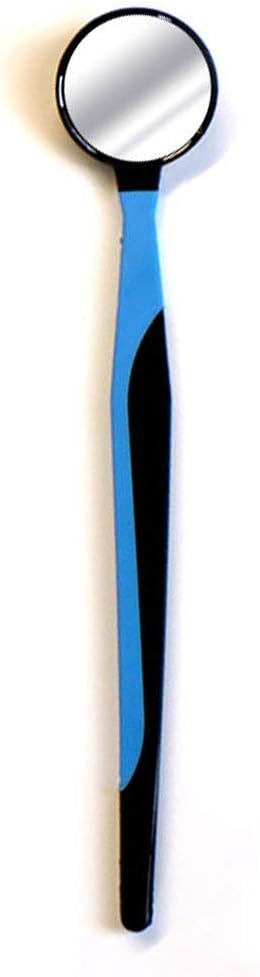 DenTek Professional Oral Care Kit: Health & Personal Care