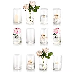 Glass Cylinder Vases Set of 12 - Hewory Tall Round