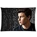 Custom Shawn Mendes Home Decorative Pillowcase Pillow Case Cover 20x30 Two Sides Print