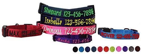 Dogline Cyan Blue Customizable Personalized Nylon Collar (W: 3/4