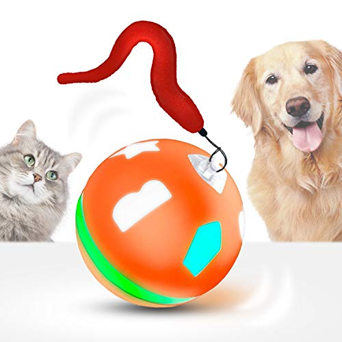 Wicked Ball Smart Interactive Toy for Cats and Dogs Automatic Rolling USB Rechargeable Two Running Modes with Colorful Lights Durable Self Rotating Gravity Sensor Fun Gift for Cats & Dogs…