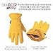 SKYDEER Full Premium Genuine Deerskin Leather Hi-Performance Utility Driver Work Gloves (SD2210/M, Unlined)