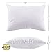 Best Toddler Pillow (INCREDIBY Soft - 100% Hypoallergenic) No Pillowcase Needed! Allergy Free - White Microfiber Finish 13x18 - Provides Great Back & Neck Support for Any Toddler, Kid, or Child