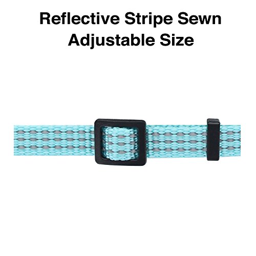 Pawtitas Reflective Cat Collar with Safety Buckle and Removable Bell Cat Collar Kitten Collar Teal Cat Collar