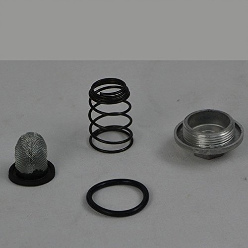 Kandi OEM Drain Bolt Kit for 150cc & 200cc GY6 Engines