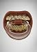 Billy Bob Grillz Pacifier primary