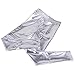 HDE Women's Plus Size Clubwear Shiny Metallic Leggings Liquid Wet Look Pants (Silver, 1X)