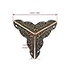 Owfeel 8pcs 25mm Antique Bronze Corner Decorative Corner Box Corner Corner Pad Corner Protector