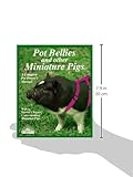 Image de Pot Bellies and Other Miniature Pigs (Complete Pet Owner's Manuals)