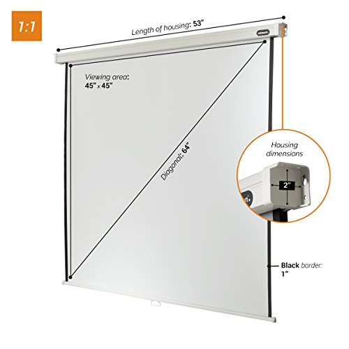 manual-Professional-screen