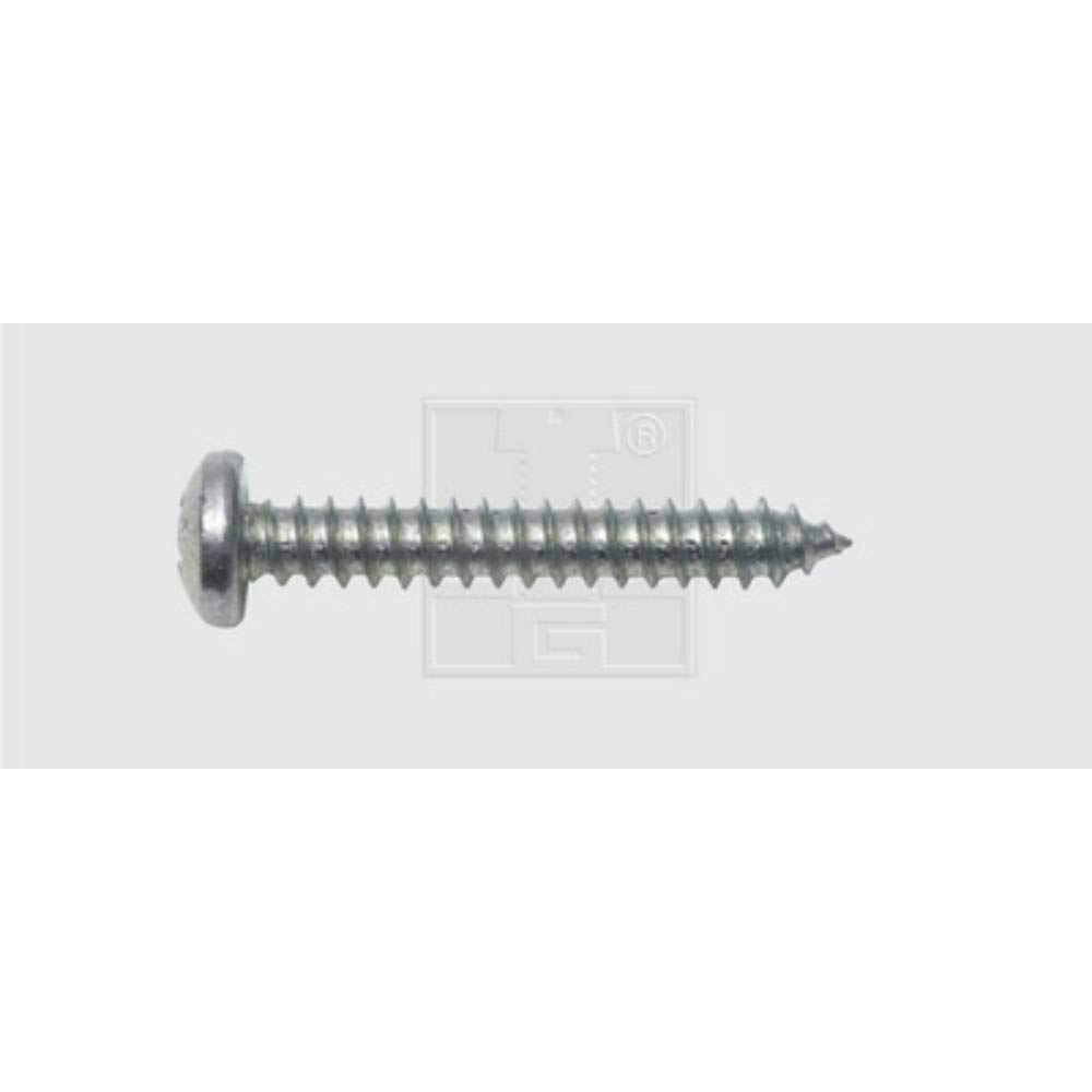 SWG Phillips 115481625 Tapping Screws 4.8 mm 16 mm Phillips DIN 7981 Galvanised Steel Pack of 100