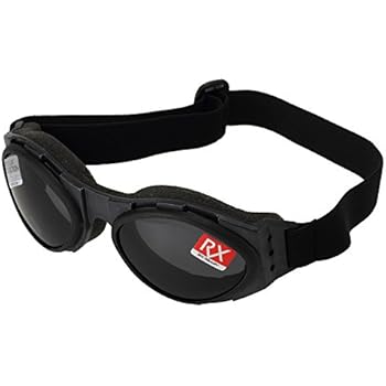 bobster hooligan photochromic sunglasses
