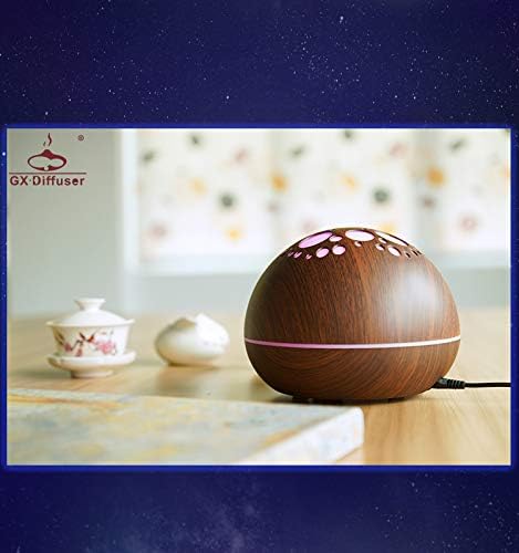 Rrunzfon Car Humidifier with USB Charger Essential Oil Aroma Diffuser