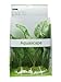 Fluval Chinodorus Plant for Aquarium, 11.5-Inch
