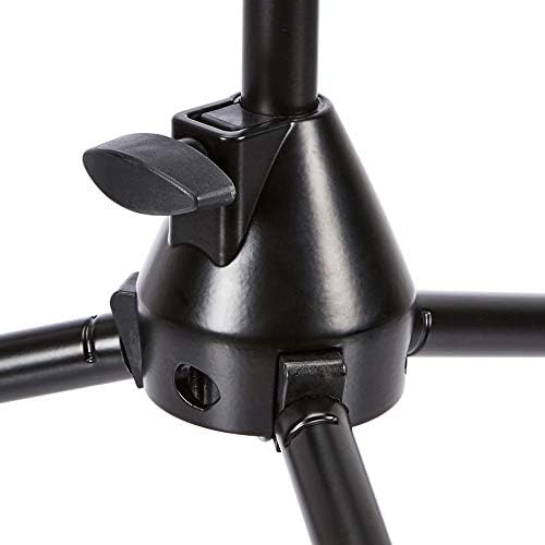 Adjustable clip-on tablet holder by Amazon Basics, price range $38.49 to $29.31