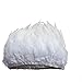 Shekyeon 2yards Rooster Hackle Feather Trim Fringe for DIY Clothing Craft Dress Decoration(White)
