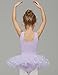 JEE.MDNMD.OO Girls' Flutter Sleeve Skirted Leotard Purple