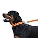CollarDirect Reflective Dog Collar for a Small, Medium, Large Dog or Puppy with a Quick Release Buckle - Boy and Girl - Nylon Suitable for Swimming (18-26 Inch, Orange)
