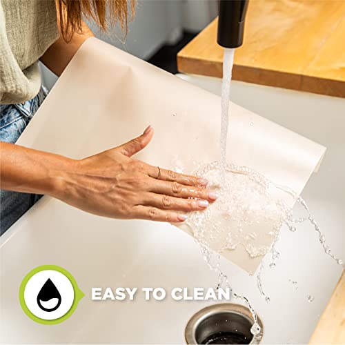 Dehydrator Sheets (Teflon, 12 Pack) Free Recipe Sheet Jerky, Fruit