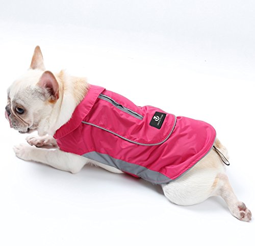 best dog coat with harness hole